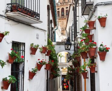 Calleja de las Flores