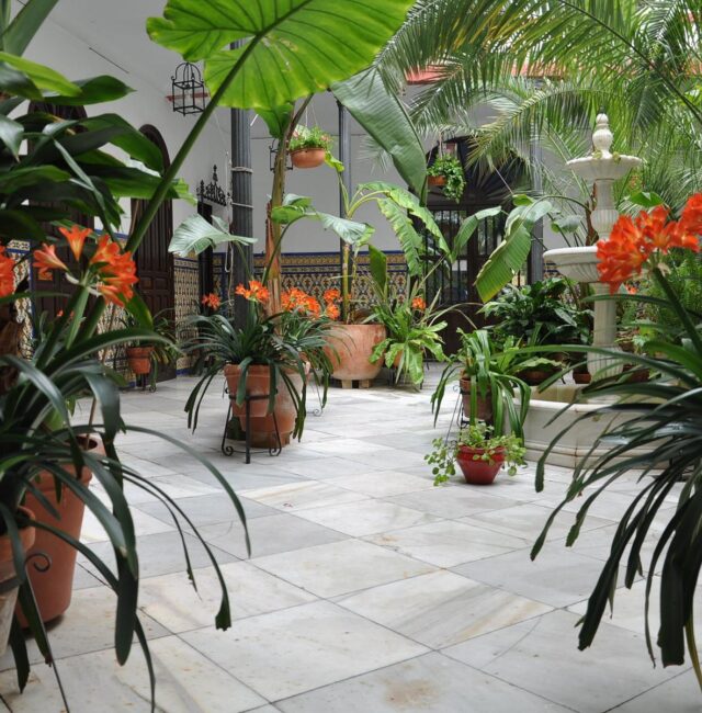 Galeria