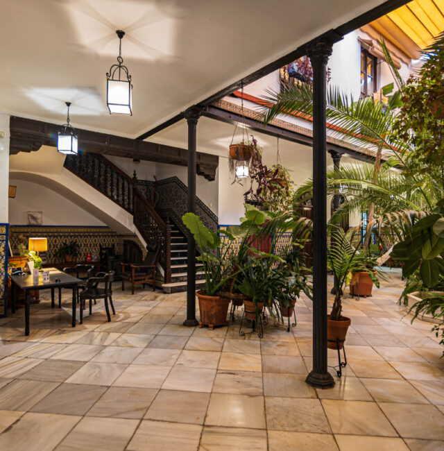Patio 6