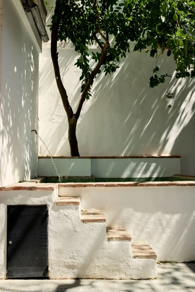Escalones y vegetación junto a la piscina · Casa de los Azulejos Hotel Boutique